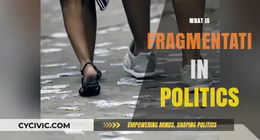 Understanding Political Fragmentation: Causes, Effects, and Implications for Governance
