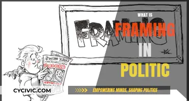 Understanding Political Framing: Shaping Public Perception and Policy Narratives