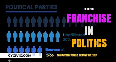 Understanding Political Franchises: Power, Representation, and Democratic Structures Explained
