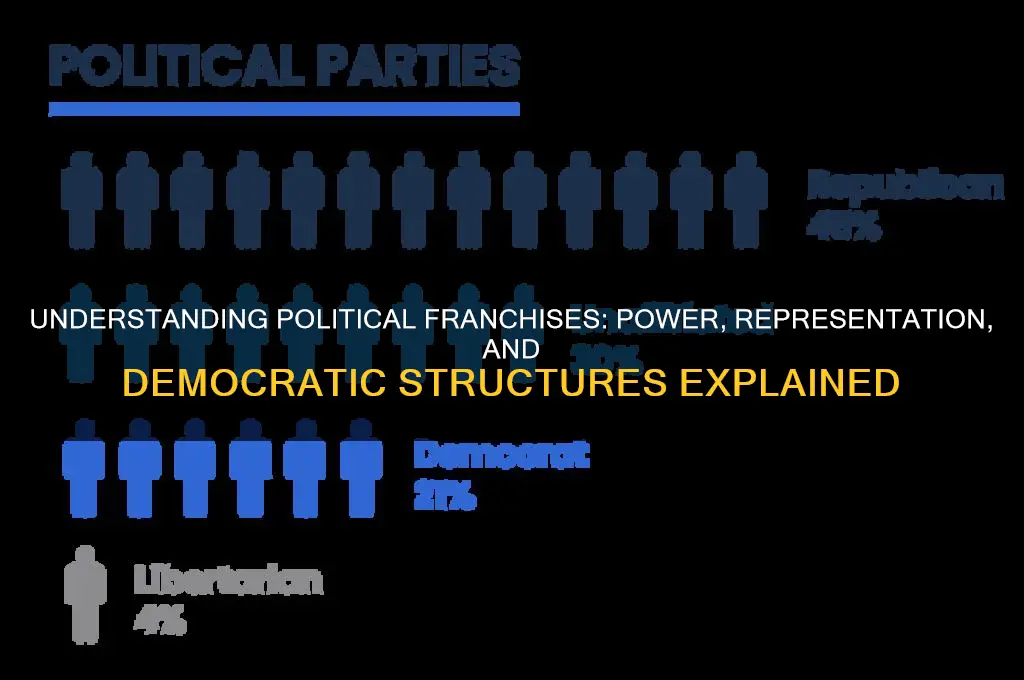 what is franchise in politics