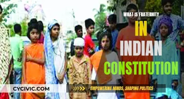 Fraternity in Indian Constitution: Exploring Its True Meaning