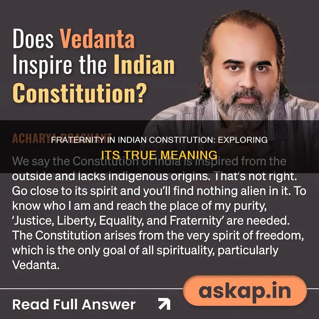 what is fraternity in indian constitution