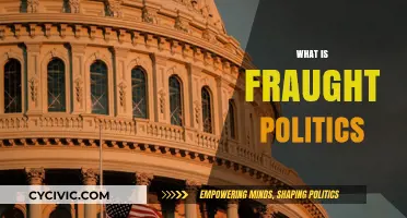 Understanding Fraught Politics: Navigating Complexities, Tensions, and Power Dynamics