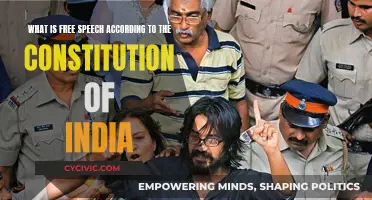 The Indian Constitution's Free Speech Perspective