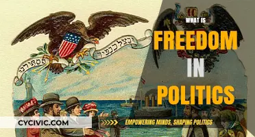 Understanding Political Freedom: Concepts, Challenges, and Global Implications