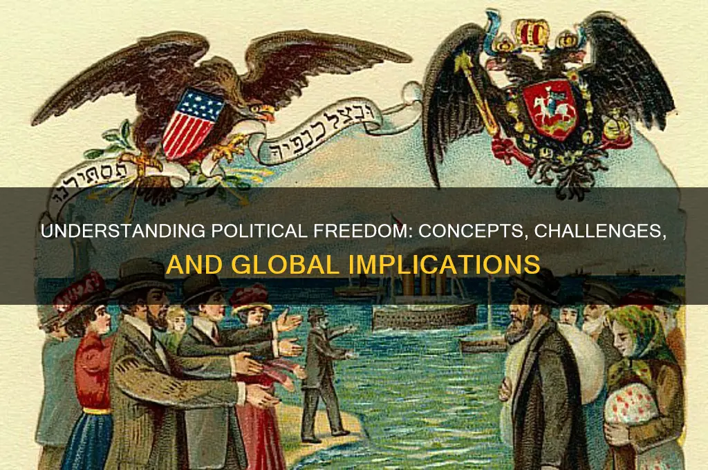 what is freedom in politics