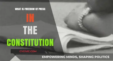 Freedom of the Press: Constitutional Right Explained