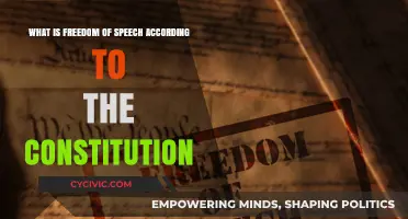 The First Amendment: Freedom of Speech Explained