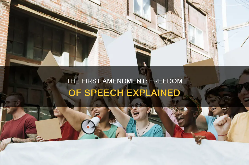 what is freedom of speech according to the constitution