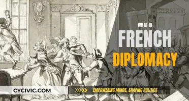 French Diplomacy: Understanding France's Global Strategies