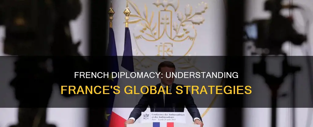 what is french diplomacy