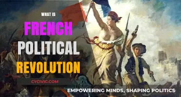 Understanding the French Political Revolution: Causes, Impact, and Legacy