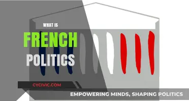 Understanding French Politics: A Comprehensive Guide to Its Structure and Dynamics
