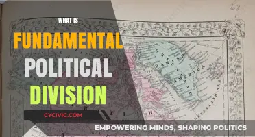 Understanding Fundamental Political Divisions: Causes, Impacts, and Global Examples
