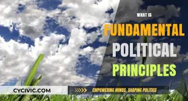 Understanding Fundamental Political Principles: Core Concepts Shaping Governance and Society