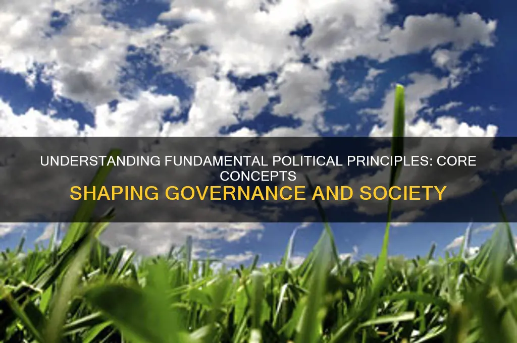 what is fundamental political principles