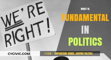 Understanding Political Fundamentalism: Origins, Impact, and Modern Manifestations
