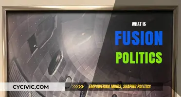 Understanding Fusion Politics: Bridging Ideologies for Collaborative Governance