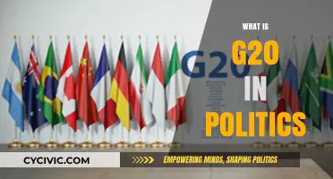 Understanding G20: Global Economic Governance and Political Cooperation Explained