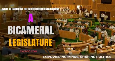 Bicameralism: Why Two Chambers Are Better Than One