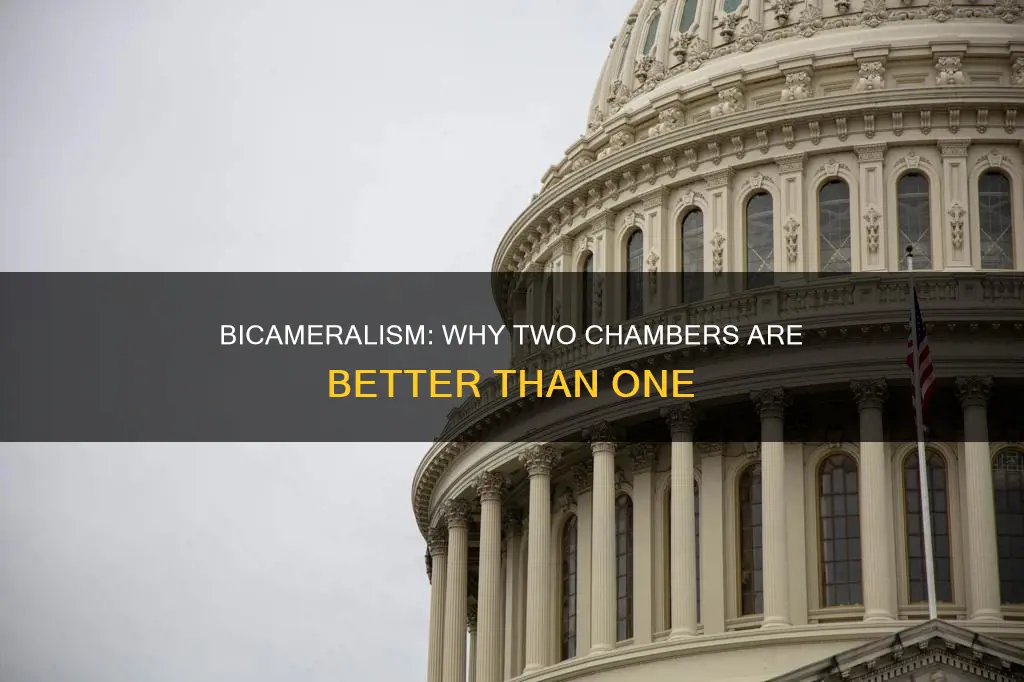 what is gained by the constitution establishing a bicameral legislature