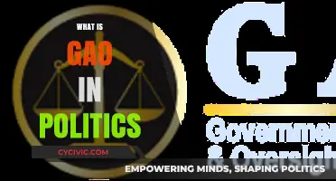 Understanding the Role of GAO in Political Oversight and Accountability