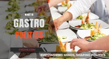 Exploring Gastro Politics: Food, Power, and Cultural Identity