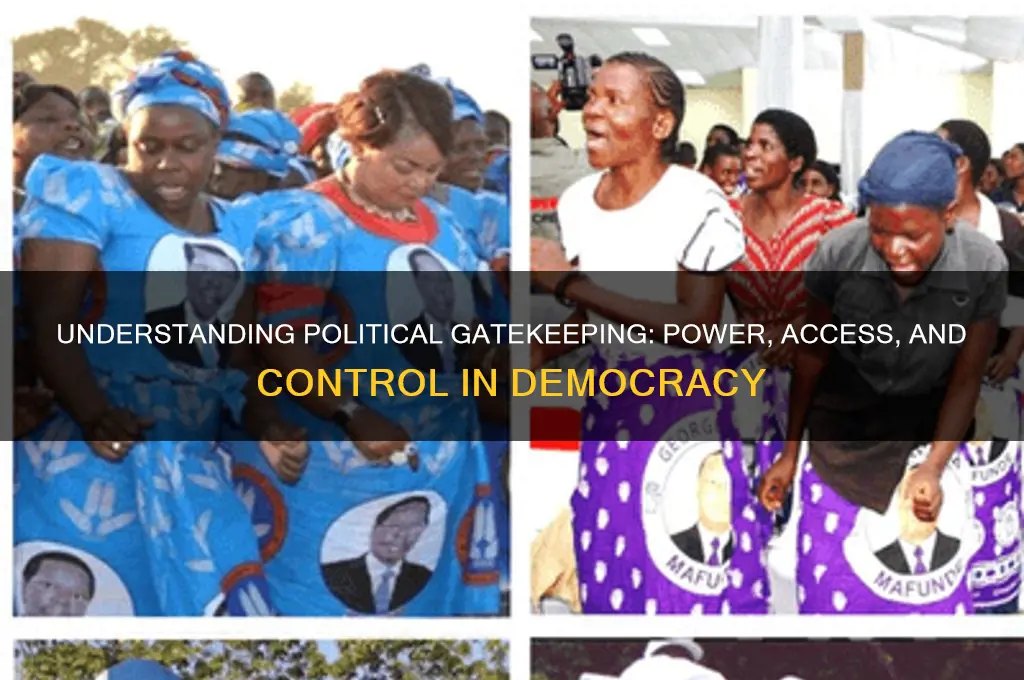 what is gatekeeping in politics