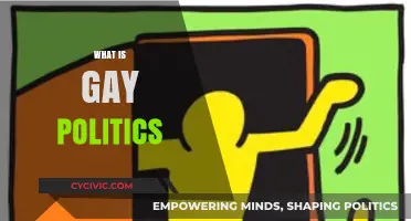 Understanding Gay Politics: Identity, Advocacy, and Social Change Explained