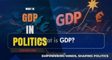 Understanding GDP: Its Role and Impact in Political Decision-Making