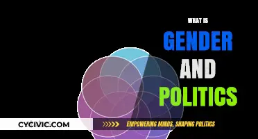 Understanding Gender and Politics: Intersectionality, Power, and Representation