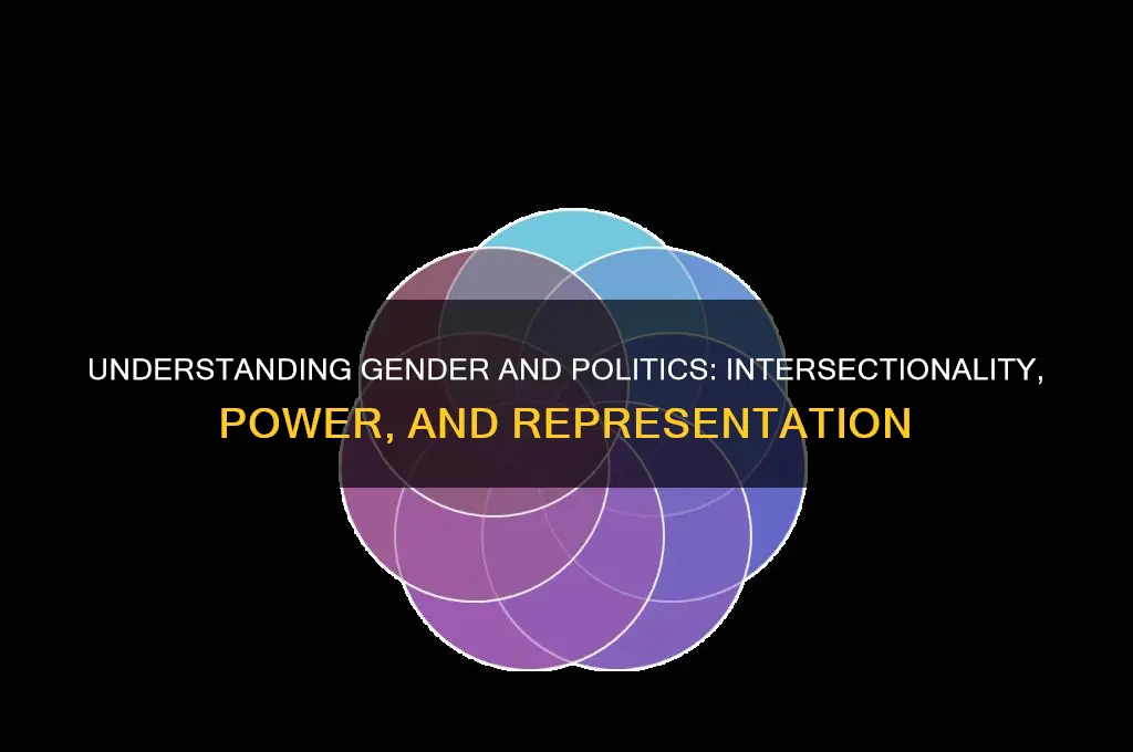 what is gender and politics