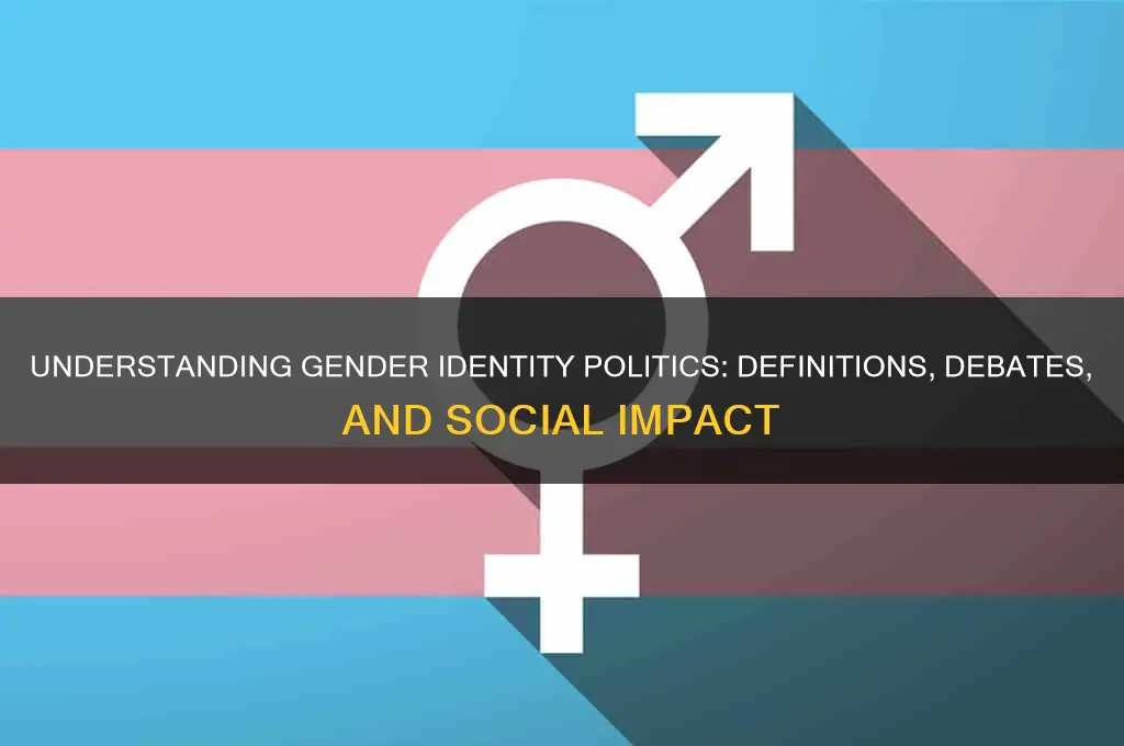 what is gender identity politics
