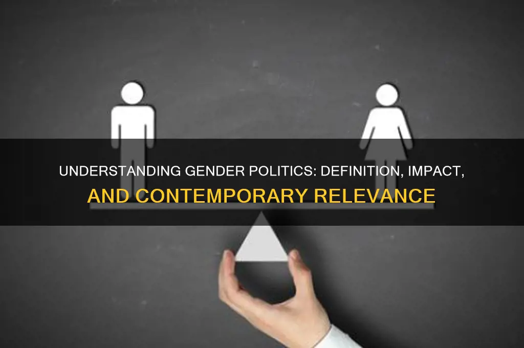 what is gender politics definition