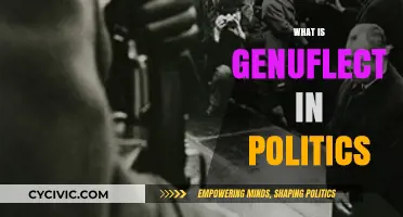 Understanding Genuflect: Political Gestures, Power Dynamics, and Symbolic Submission