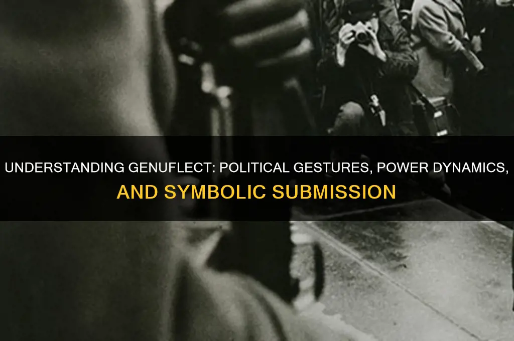 what is genuflect in politics