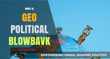 Understanding Geopolitical Blowback: Causes, Consequences, and Global Implications