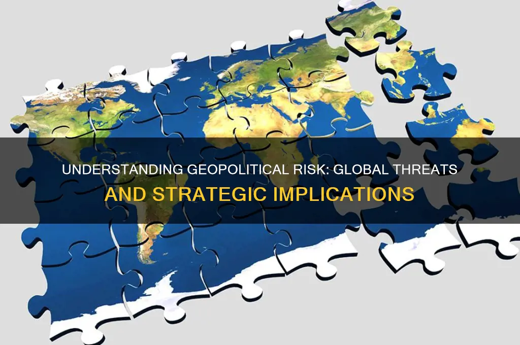 what is geo political risk