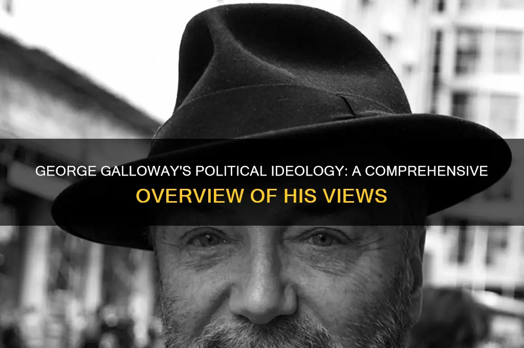 what is george galloways politics