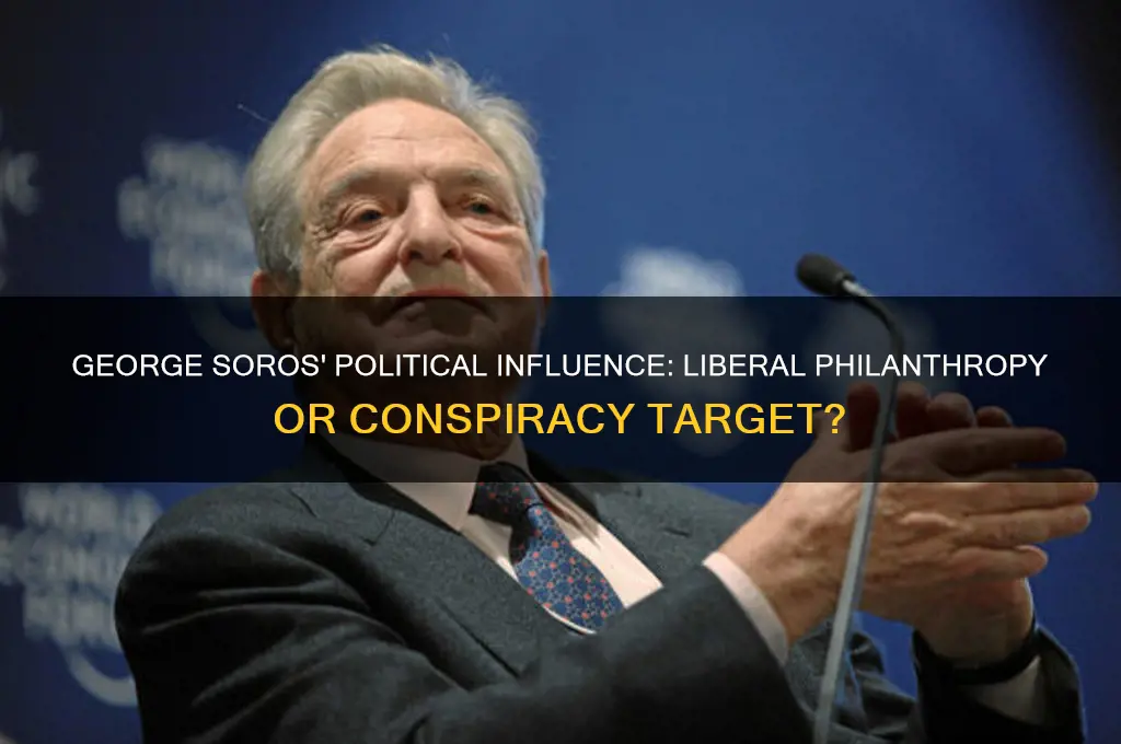 what is george soros politics