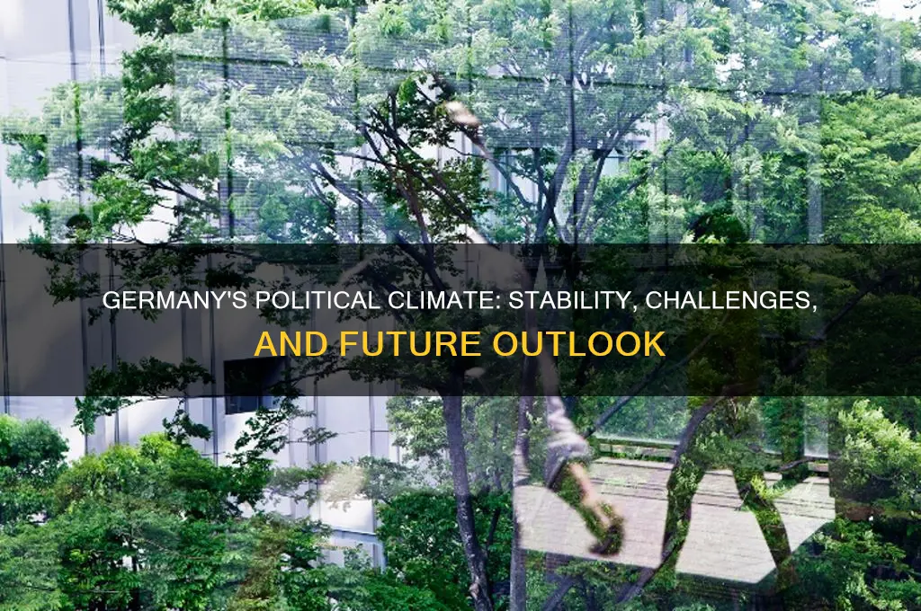 what is germanys political climate