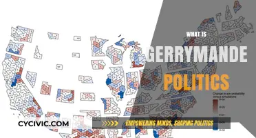 Understanding Gerrymandering: How Politics Shapes Voting Districts and Elections