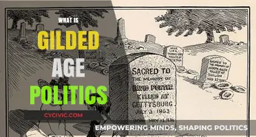 Understanding Gilded Age Politics: Corruption, Industrialism, and Power Dynamics