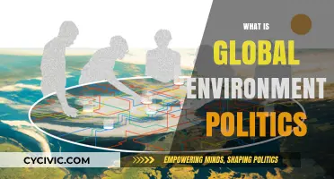 Understanding Global Environmental Politics: Challenges, Cooperation, and Sustainable Solutions