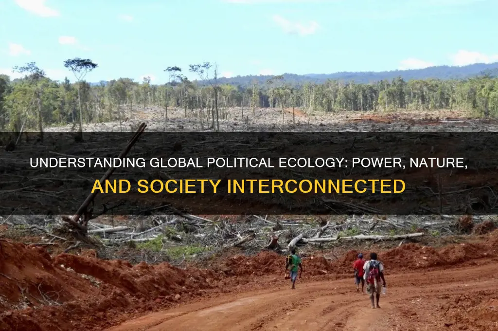 what is global political ecology