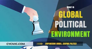Understanding the Complex Dynamics of the Global Political Environment