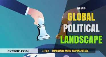 Understanding the Complex Dynamics of Today's Global Political Landscape