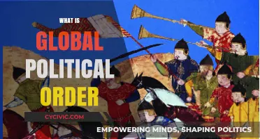 Understanding the Complex Dynamics of Global Political Order Today