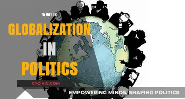 Understanding Globalization's Impact on Political Systems and International Relations