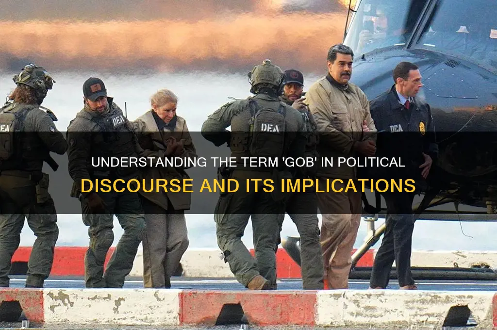 what is gob in politics